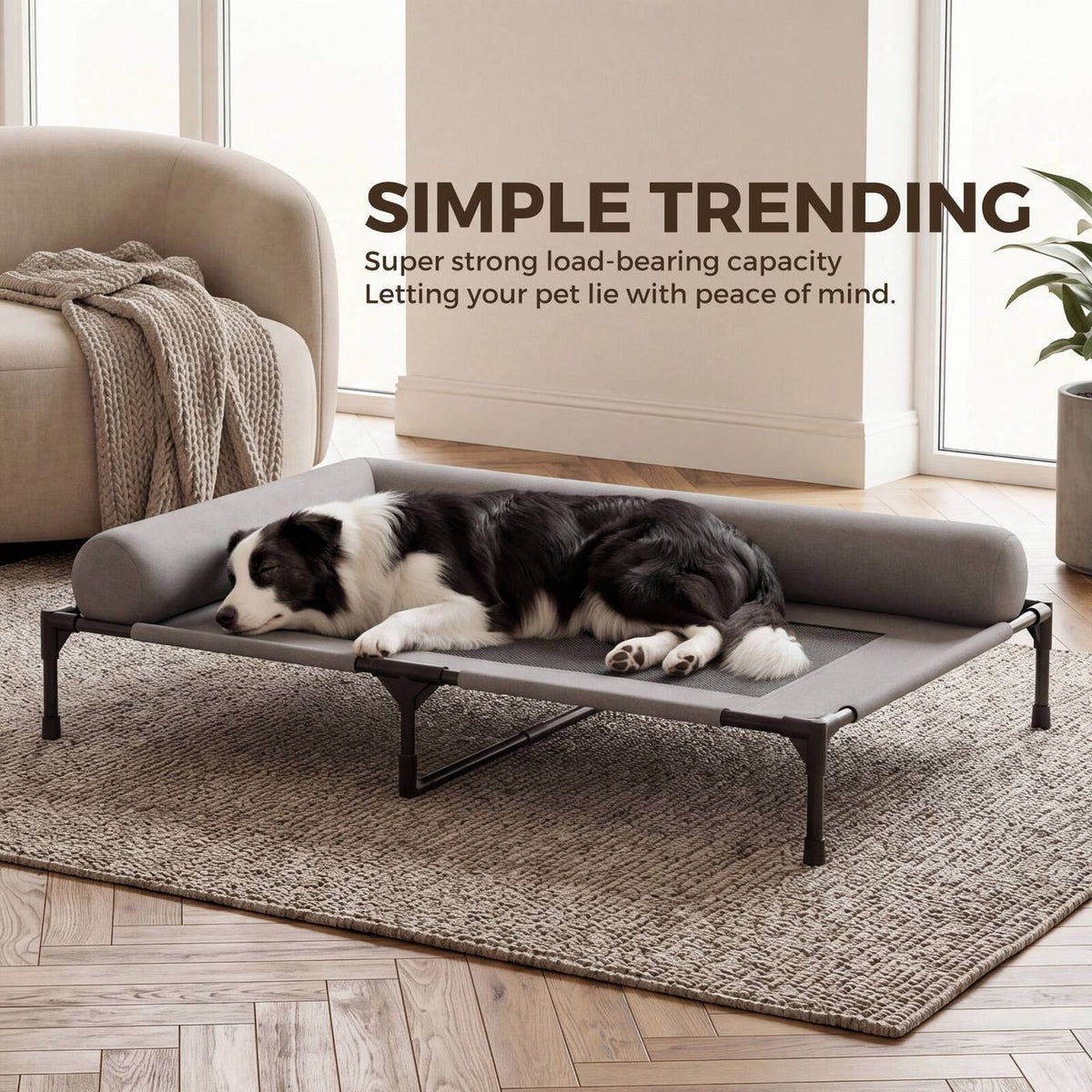 Elevated Pet Lounger Bed