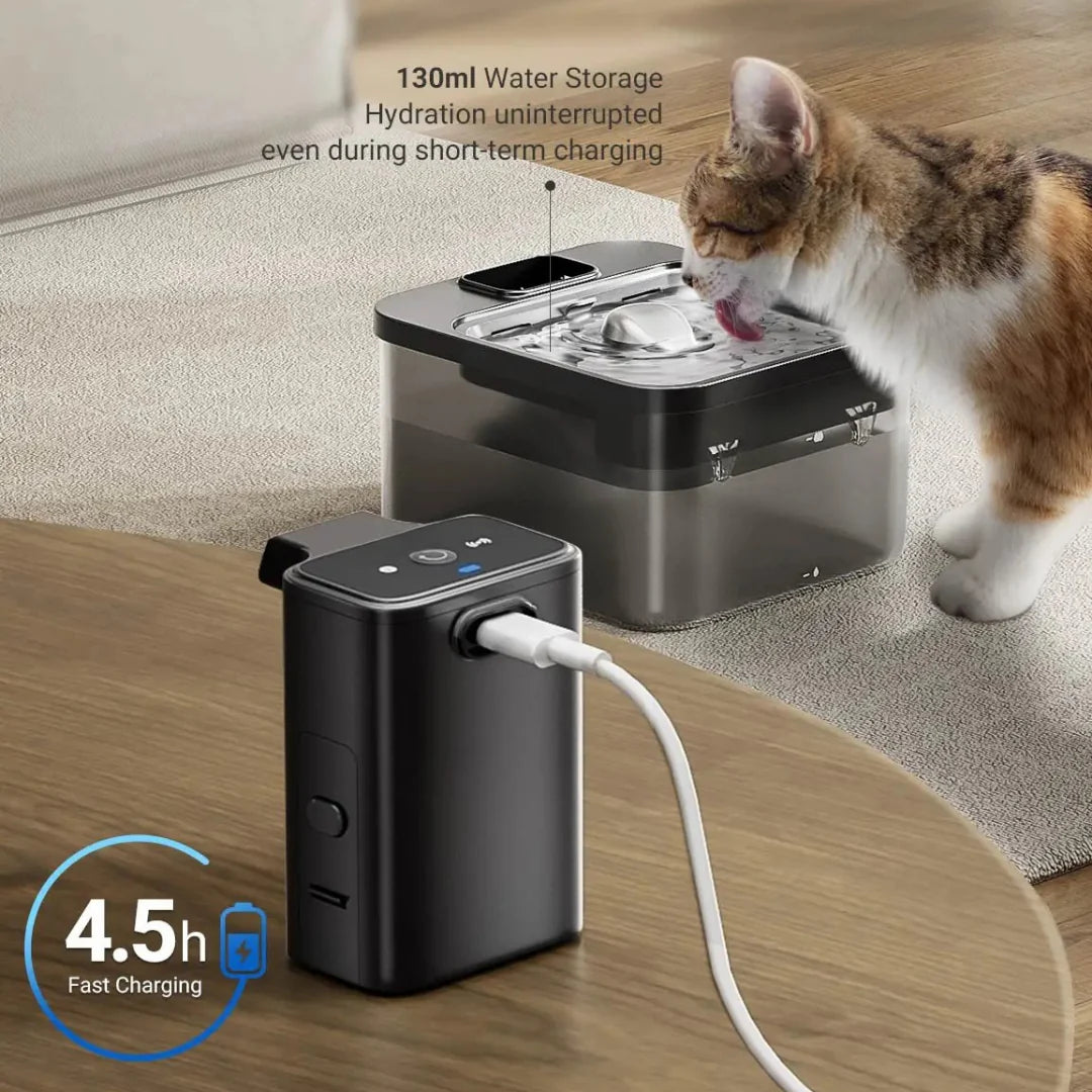 Smart Sensor Water Fountain