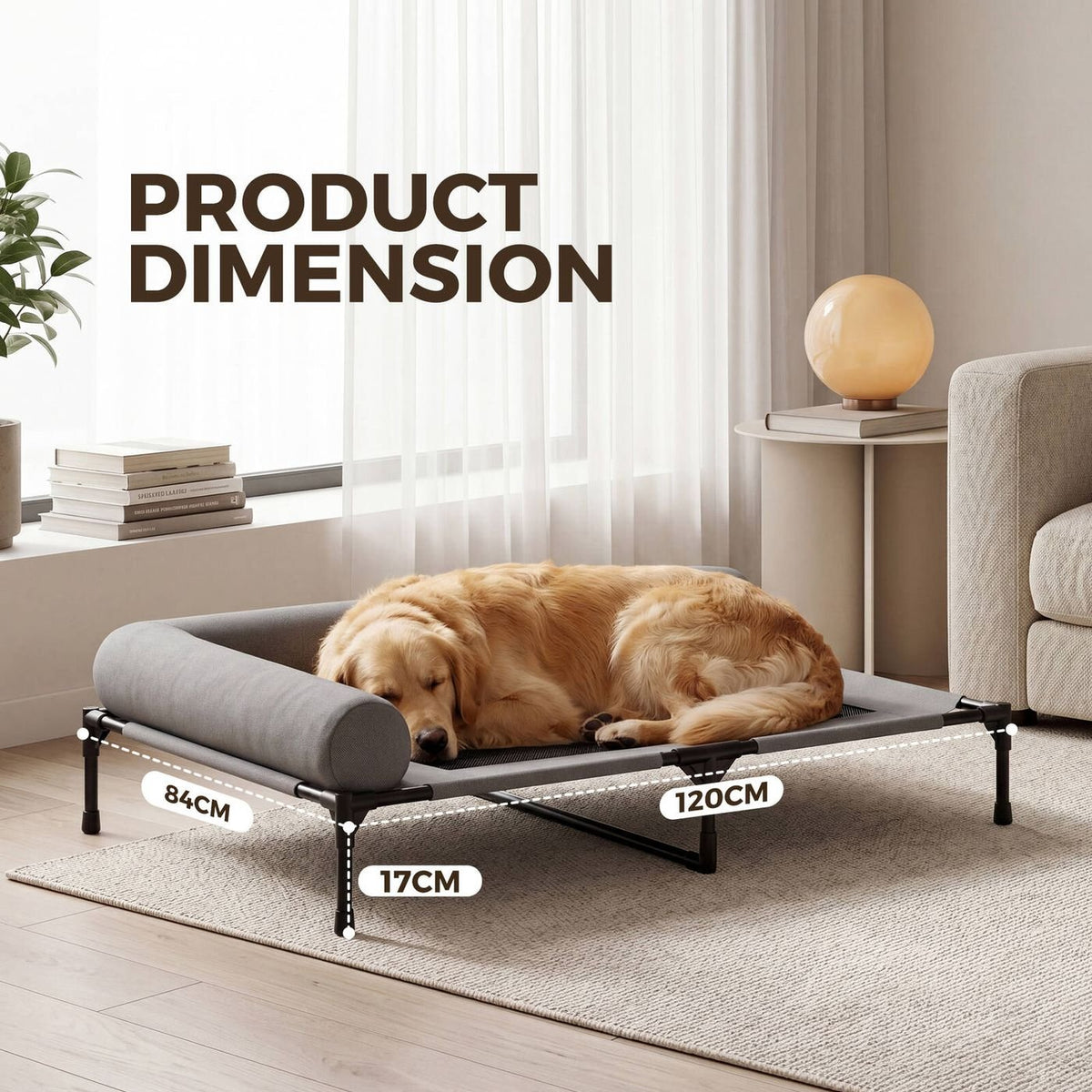 Elevated Pet Lounger Bed