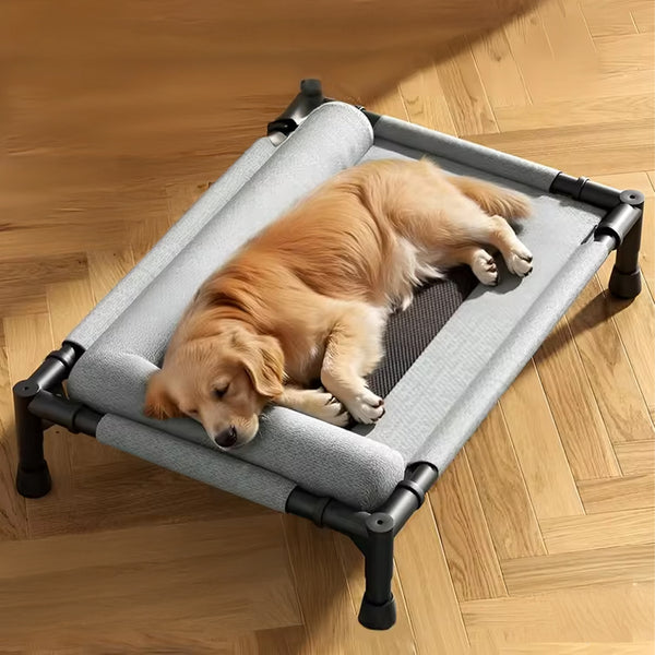 Elevated Pet Lounger Bed