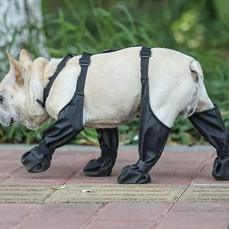Anti-Slip Paw Protector