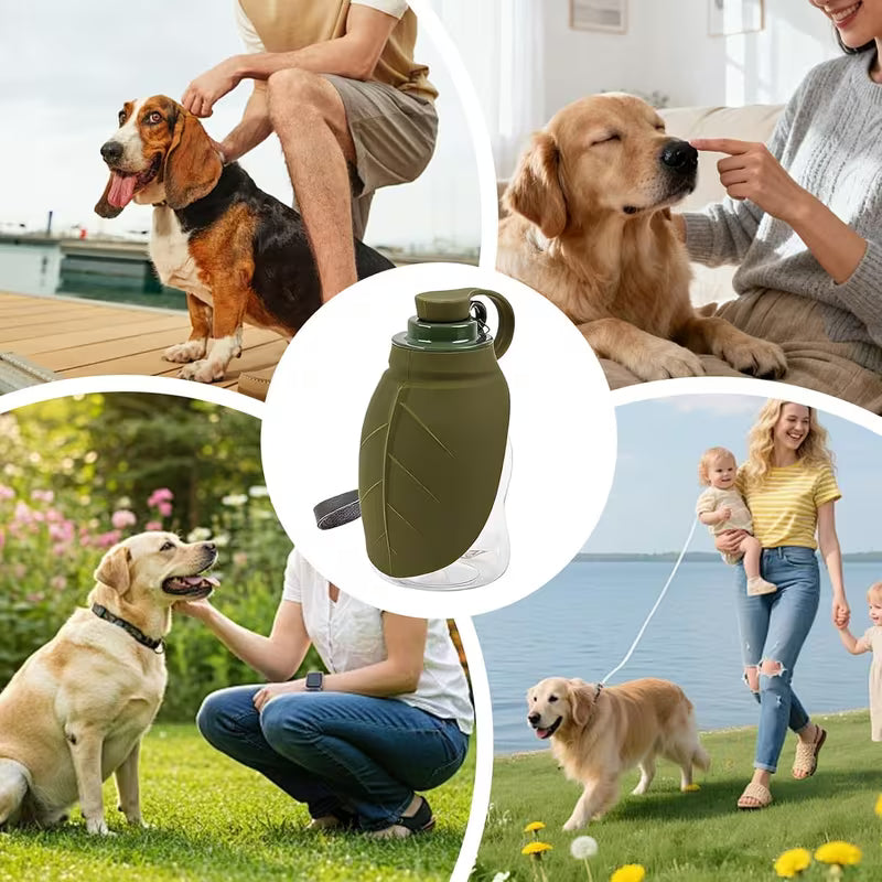 Collapsible Silicone Pet Bottle