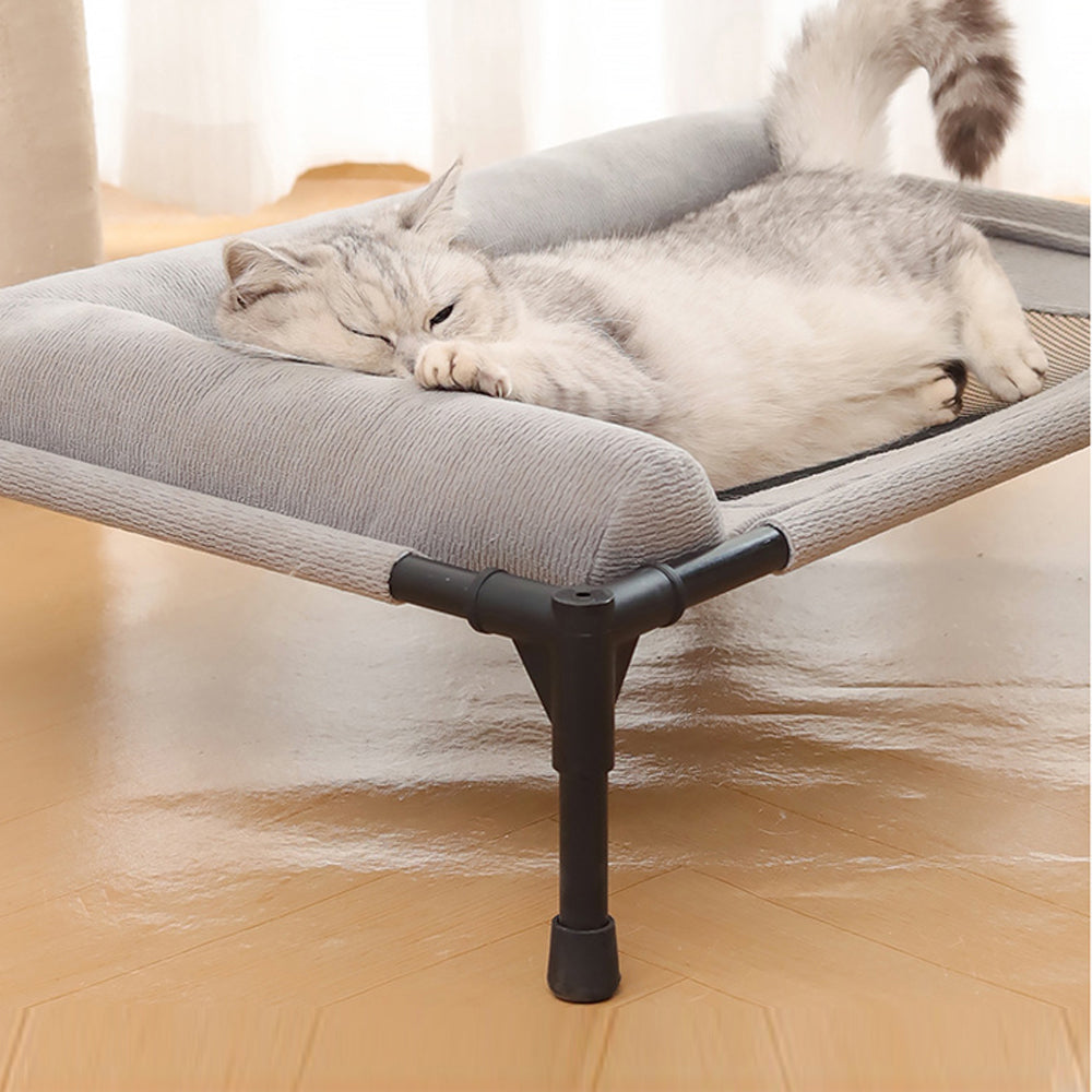 Elevated Pet Lounger Bed