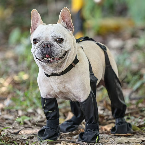 Anti-Slip Paw Protector