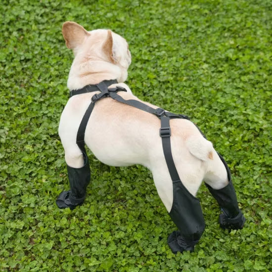 Anti-Slip Paw Protector