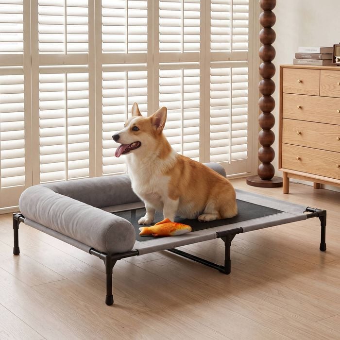 Elevated Pet Lounger Bed
