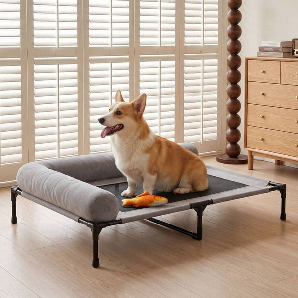 Elevated Pet Lounger Bed