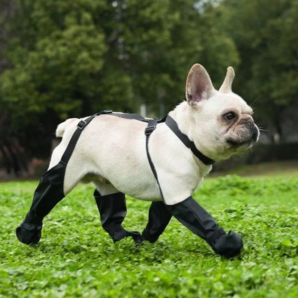 Anti-Slip Paw Protector