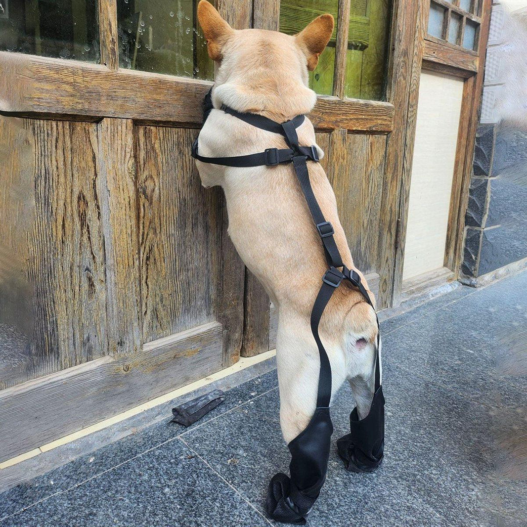 Anti-Slip Paw Protector