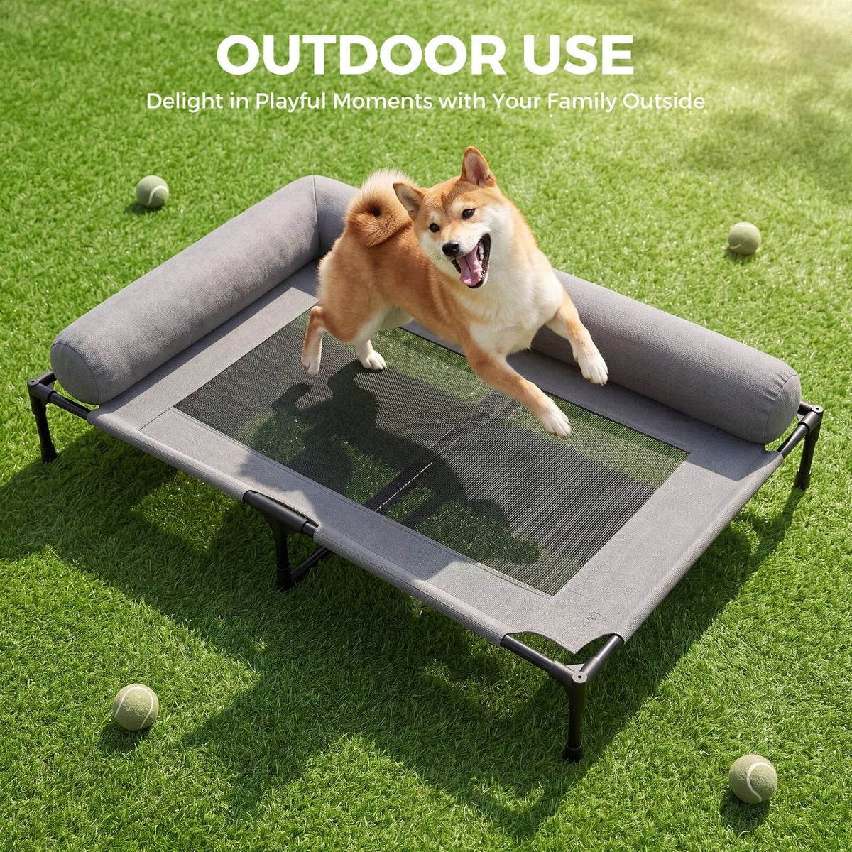 Elevated Pet Lounger Bed
