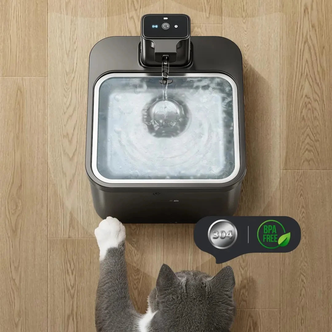 Smart Sensor Water Fountain