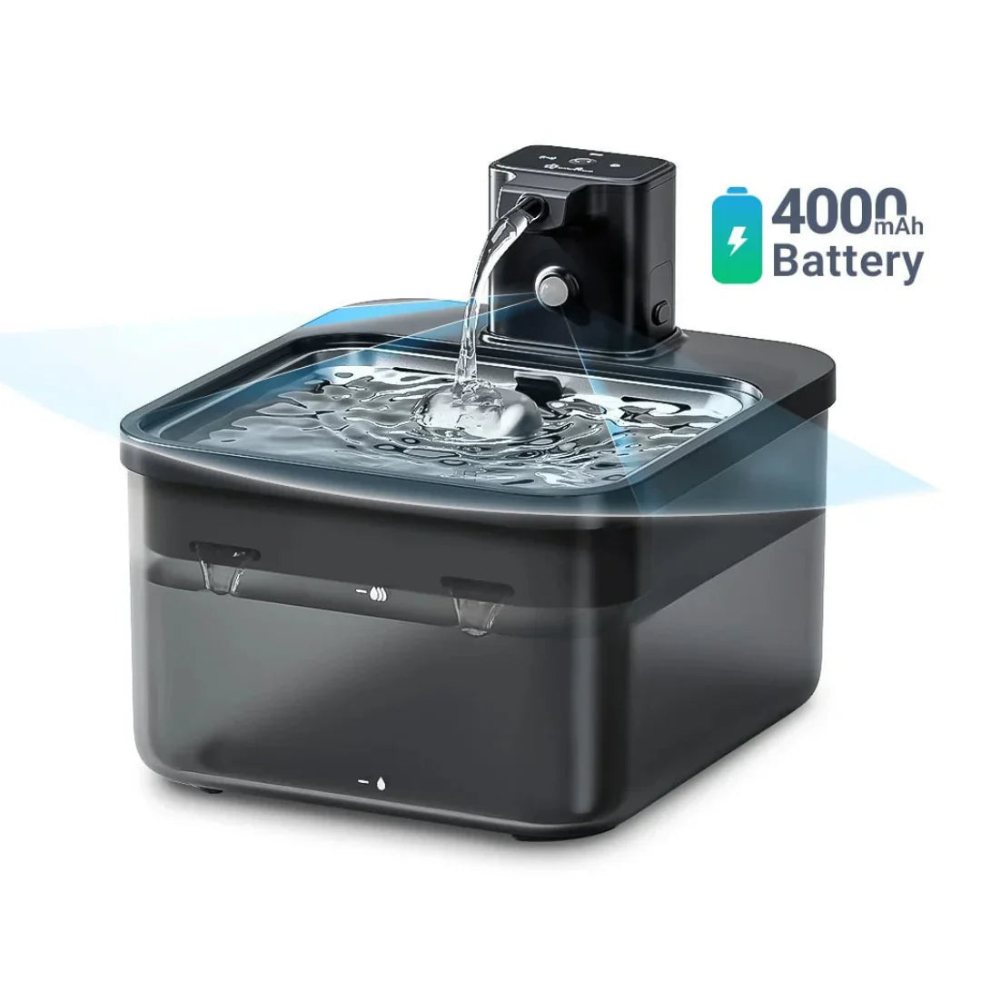 Smart Sensor Water Fountain