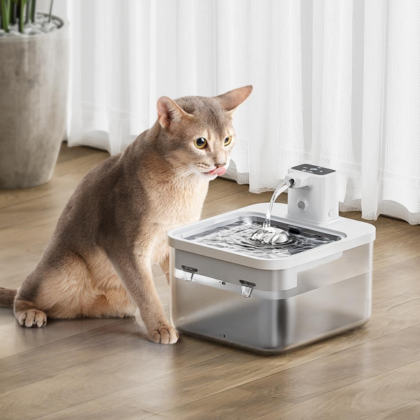 Smart Sensor Water Fountain