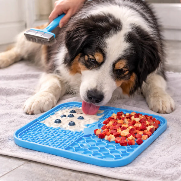 Slow Feeder Licking Mat