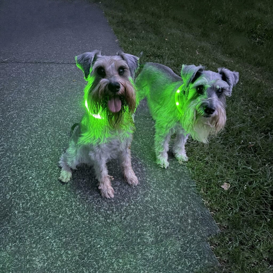Night Safety LED Pet Collar Pendant