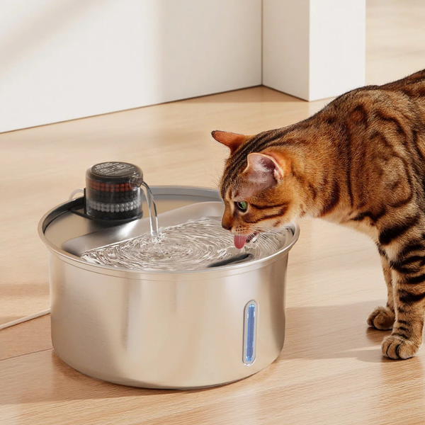 Stainless Steel Sensor Fountain