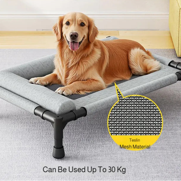 Elevated Pet Lounger Bed