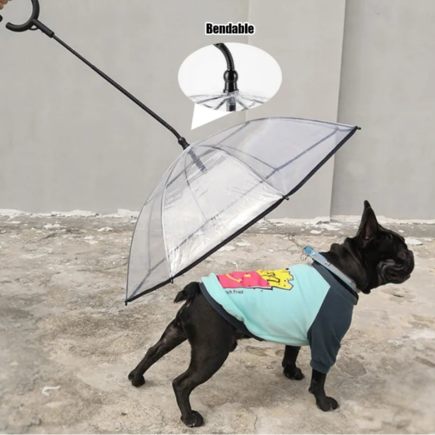 Transparent Dog Umbrella Leash