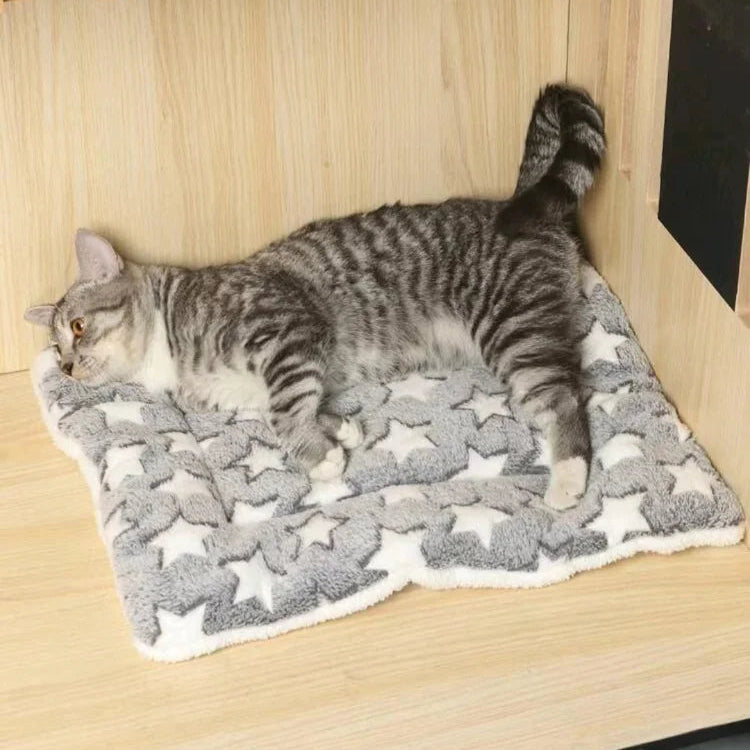 Warm Cushion Pet Mat
