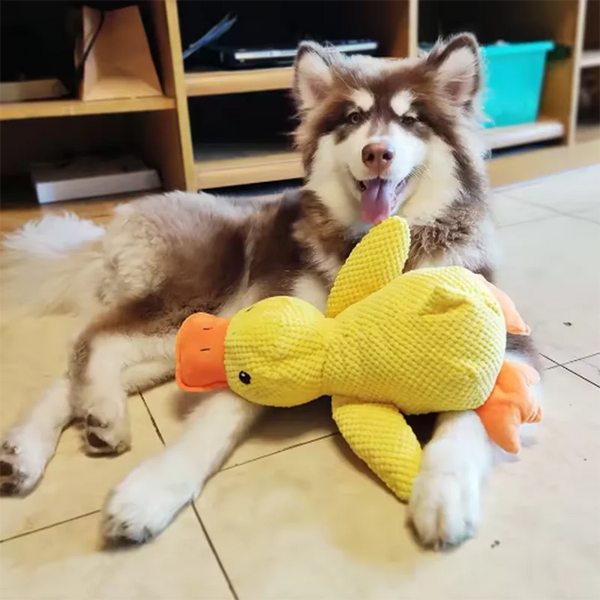 Quack-Quack Duck Dog Toy