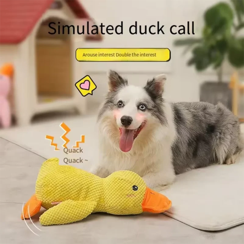 Quack-Quack Duck Dog Toy