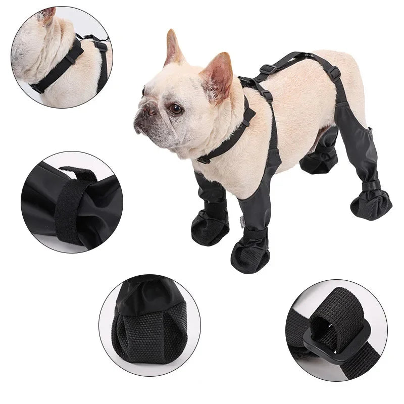 Anti-Slip Paw Protector