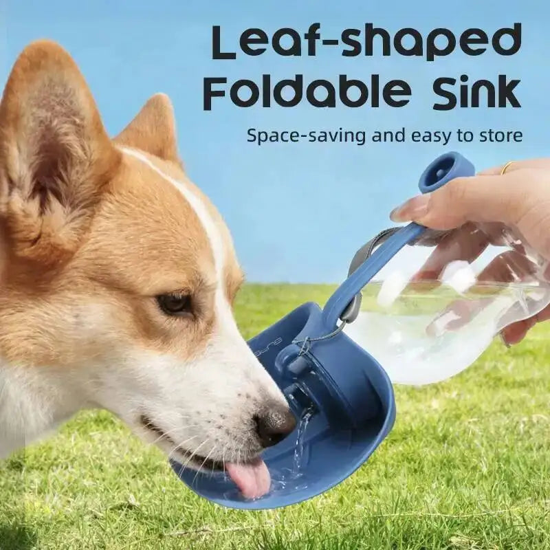 Collapsible Silicone Pet Bottle