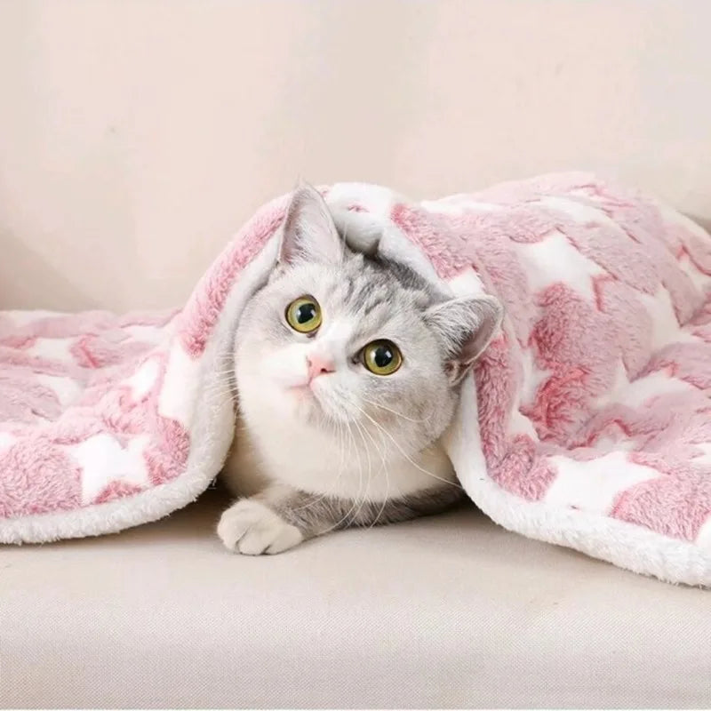 Warm Cushion Pet Mat
