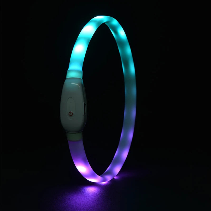 Night Safety LED Pet Collar Pendant