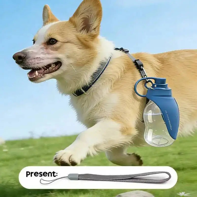 Collapsible Silicone Pet Bottle