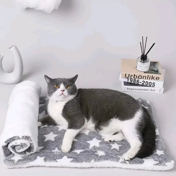 Warm Cushion Pet Mat