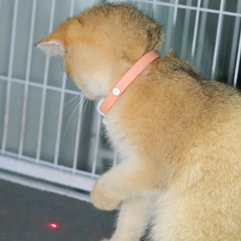 Interactive Laser Cat Collar Toy