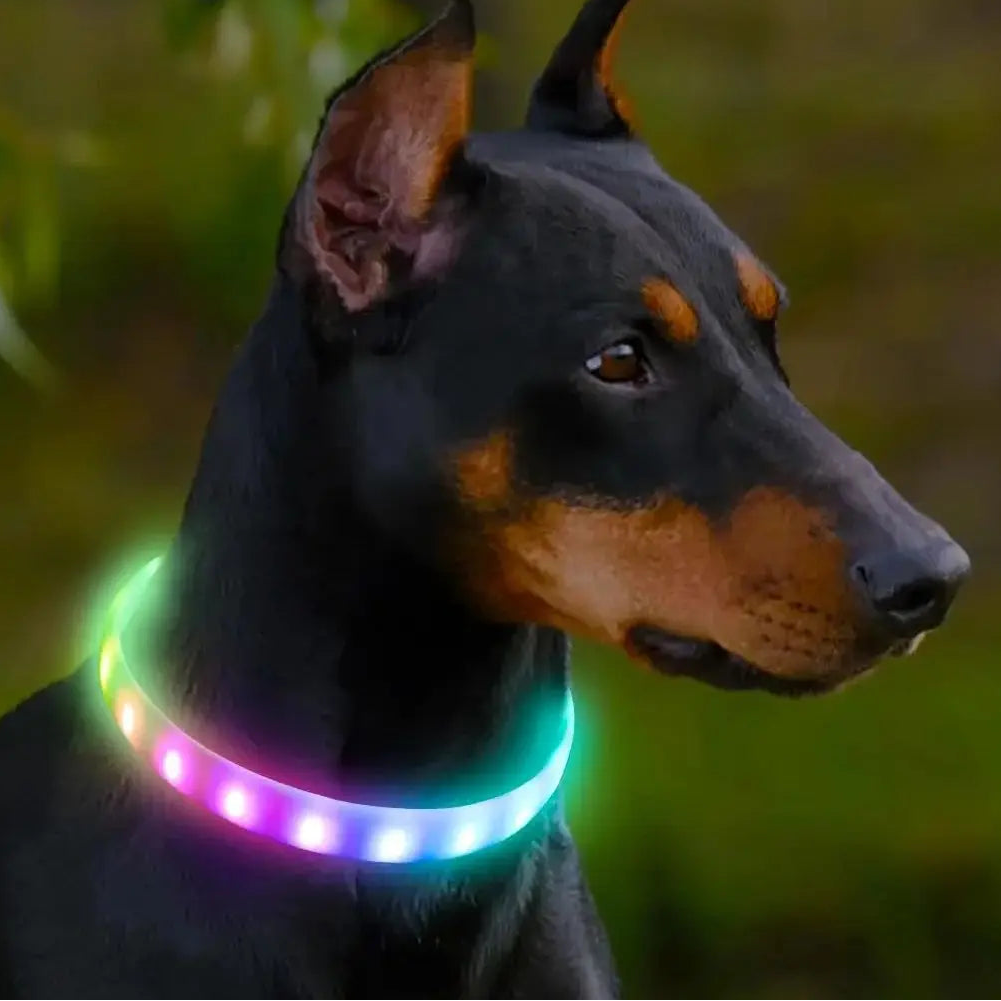 Night Safety LED Pet Collar Pendant