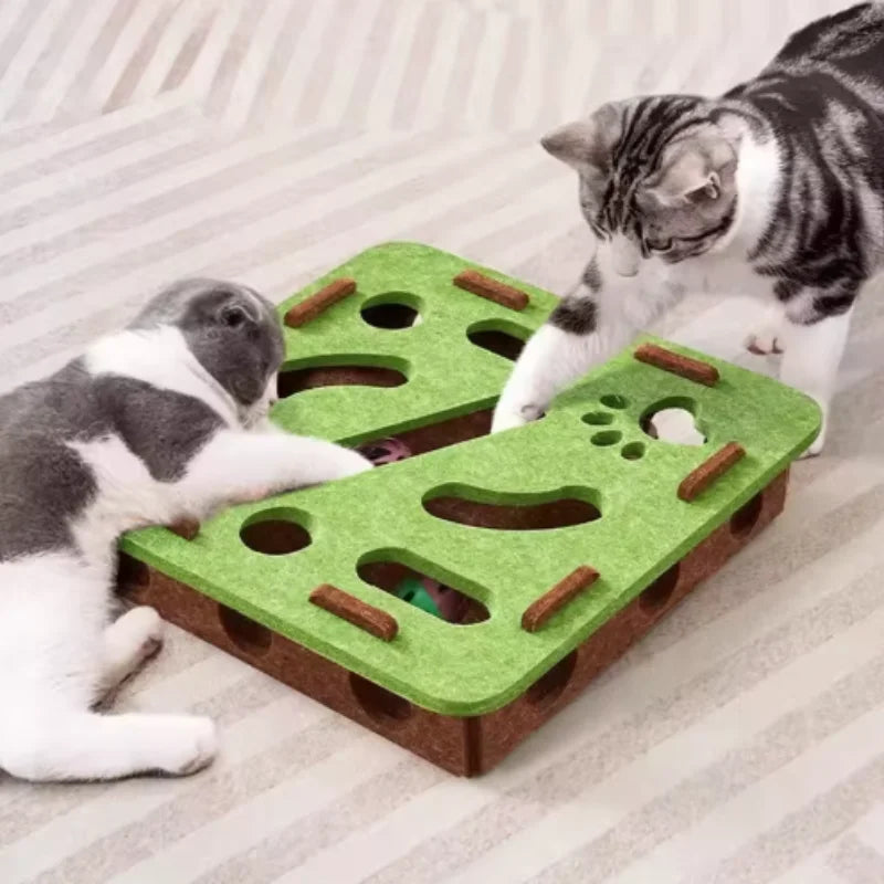 Interactive Cat Puzzle Maze Toy
