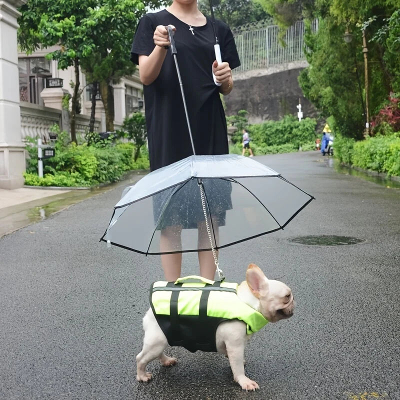 Transparent Dog Umbrella Leash